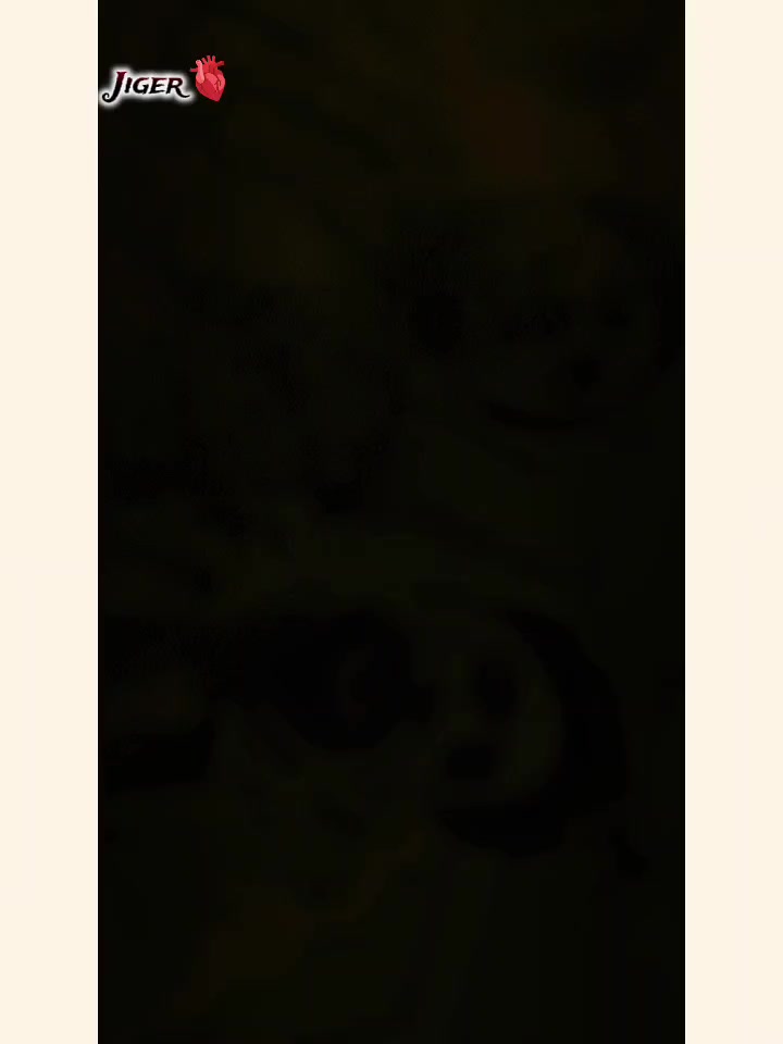 @꧁ 🆃🅰🆈🆈🅰🅱 🅶🆄🅿🆃🅸🅻🅻꧂