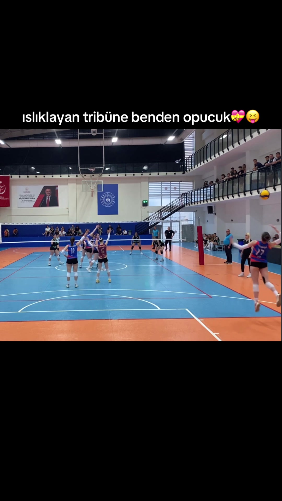@irmik
