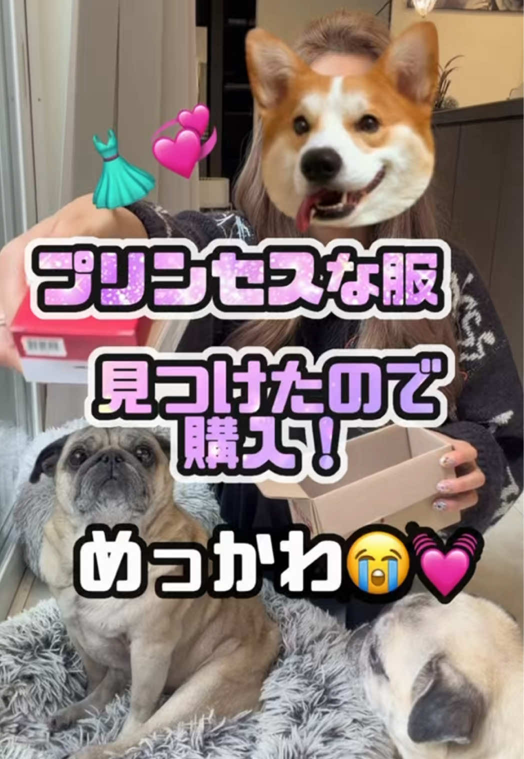 @ペコピノ🐶さっちゃん