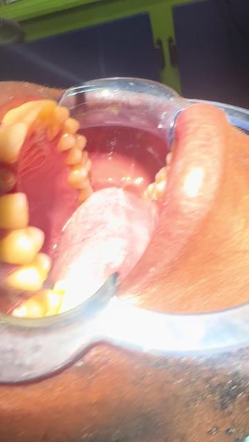 @Clinica et Welcome-polyclinic