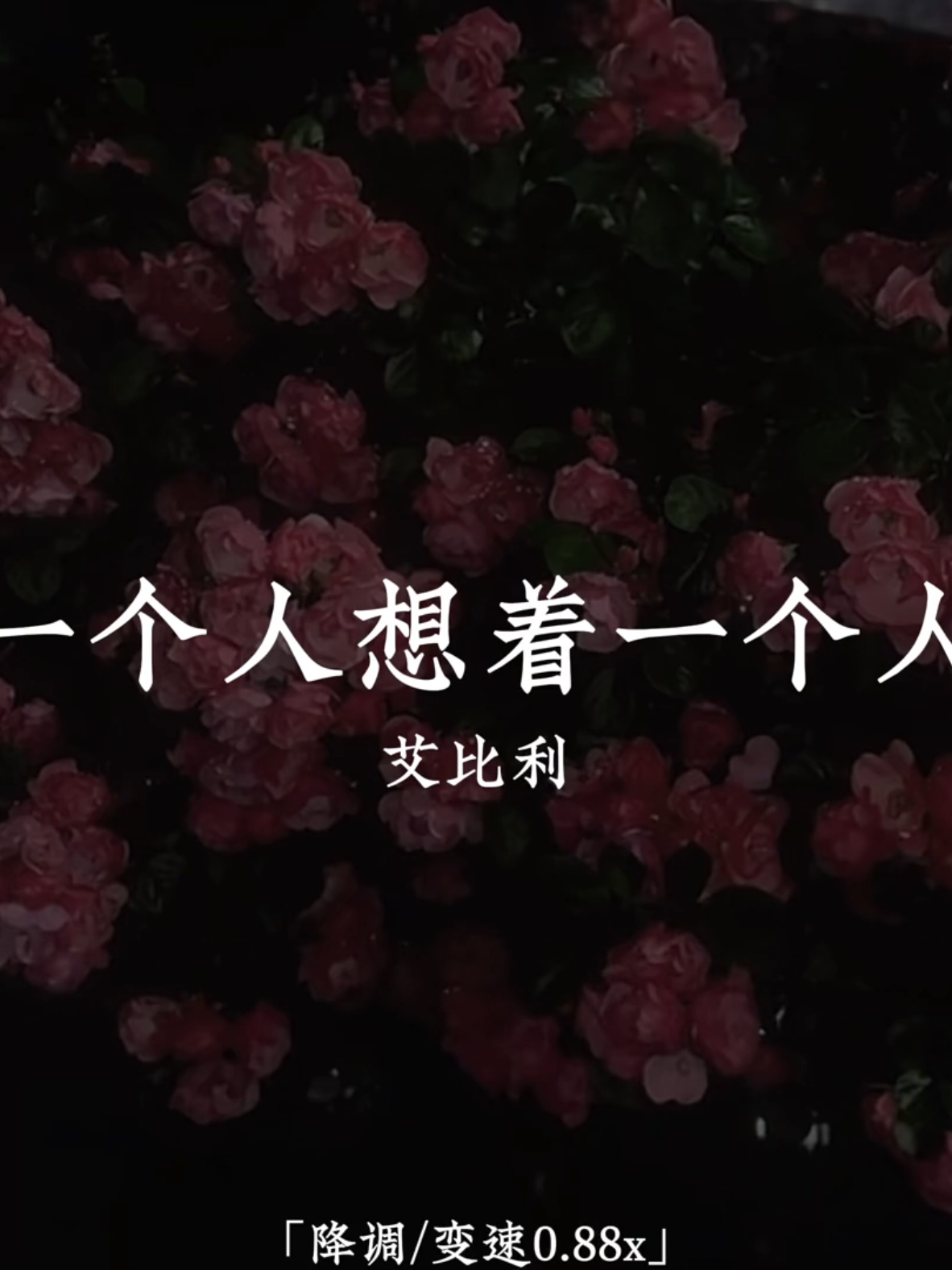 @𝒫今天听歌了吗🎧