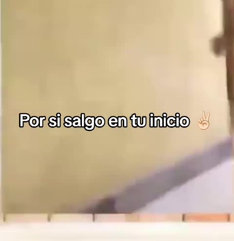 @petergn6🐊