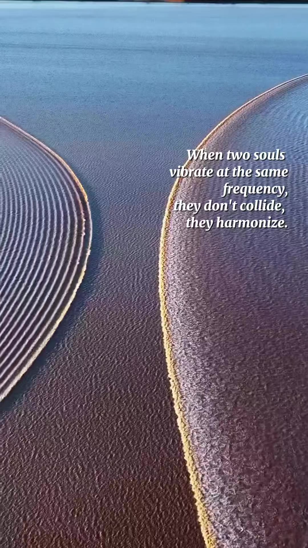 @Dee