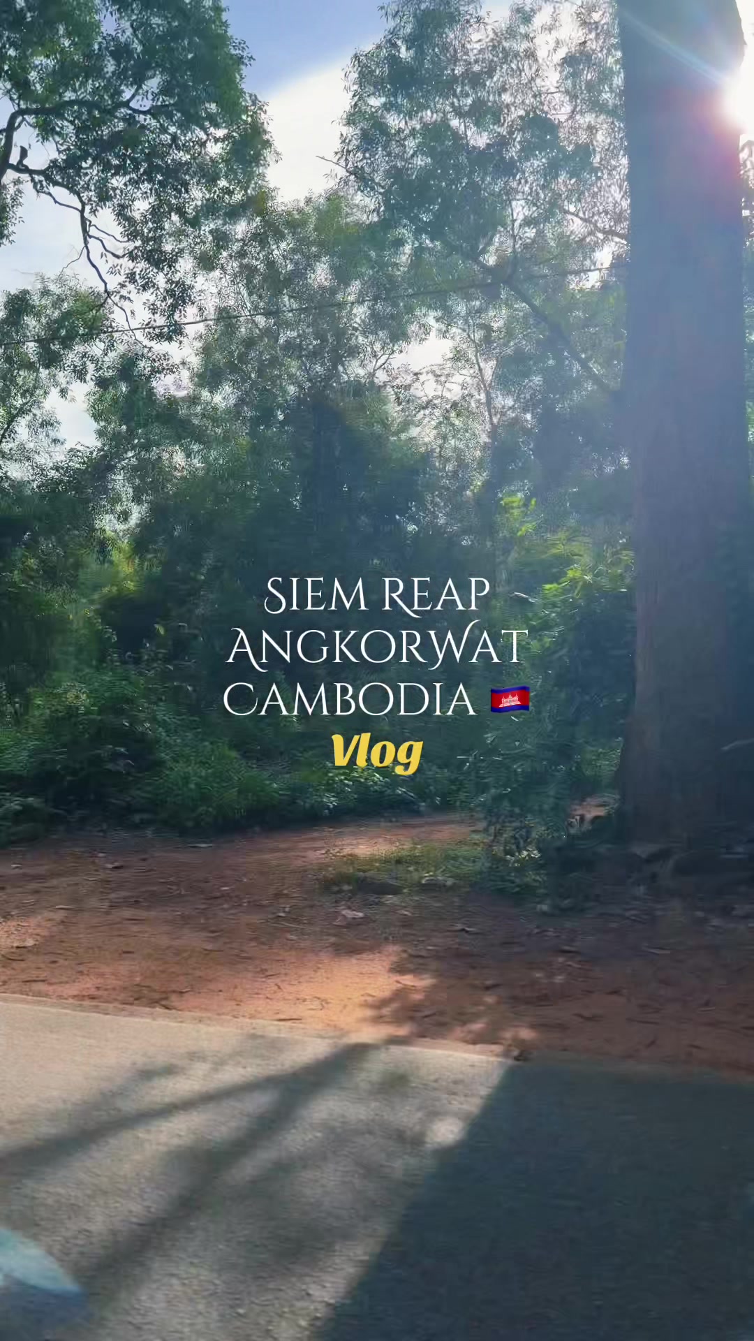 @Alicia ๐ชท