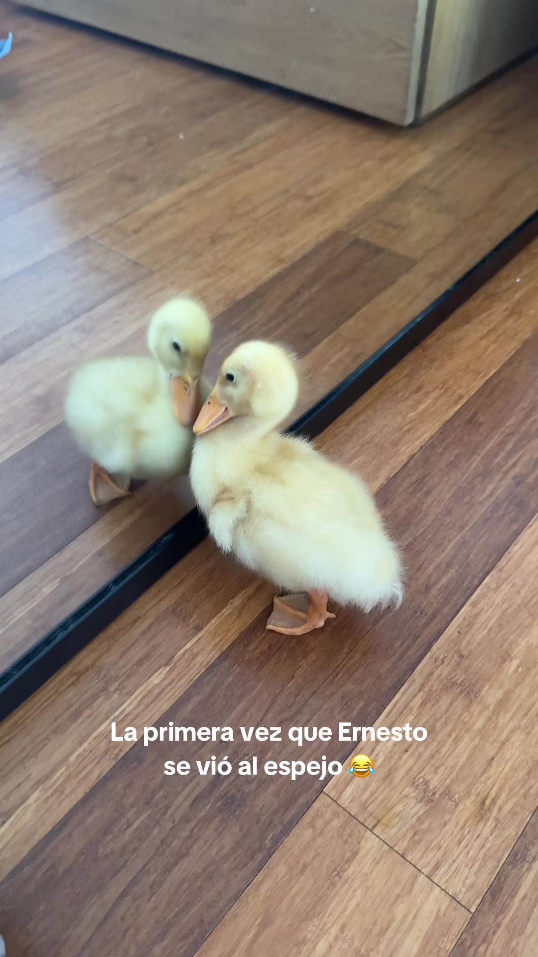 @Laura Londo&ntilde;o