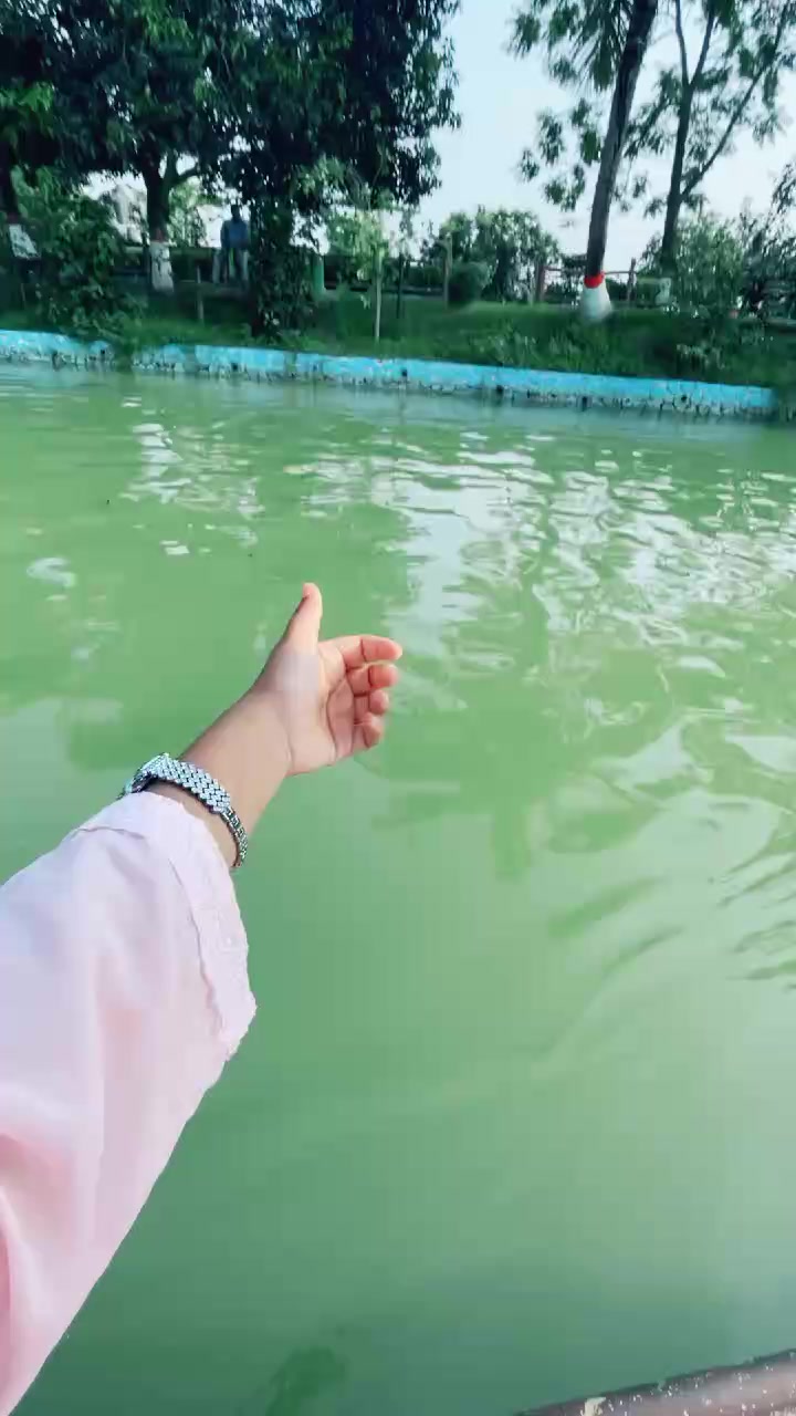 @🦢