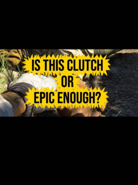 @Rogerthat