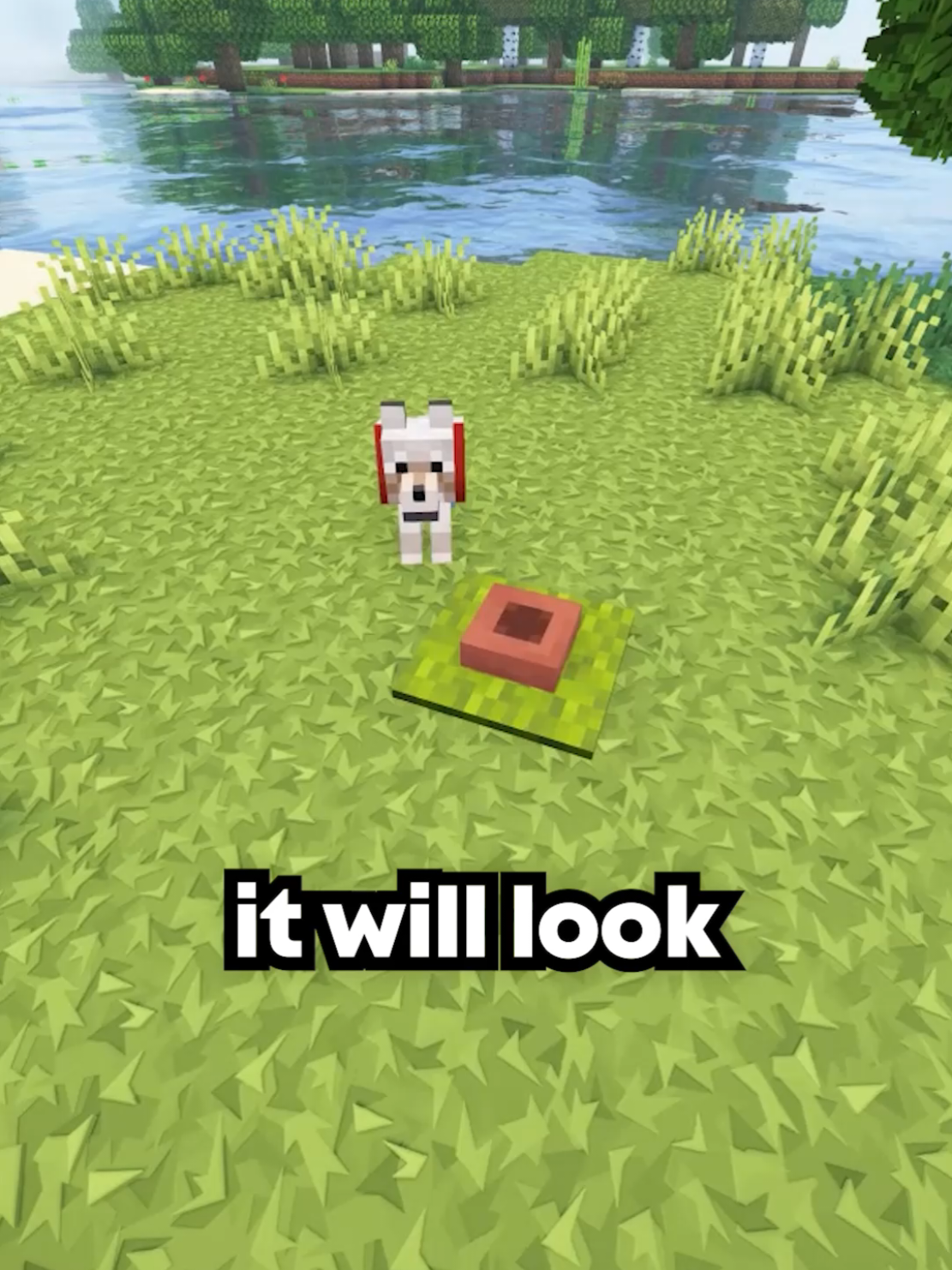 @maxxcrafter