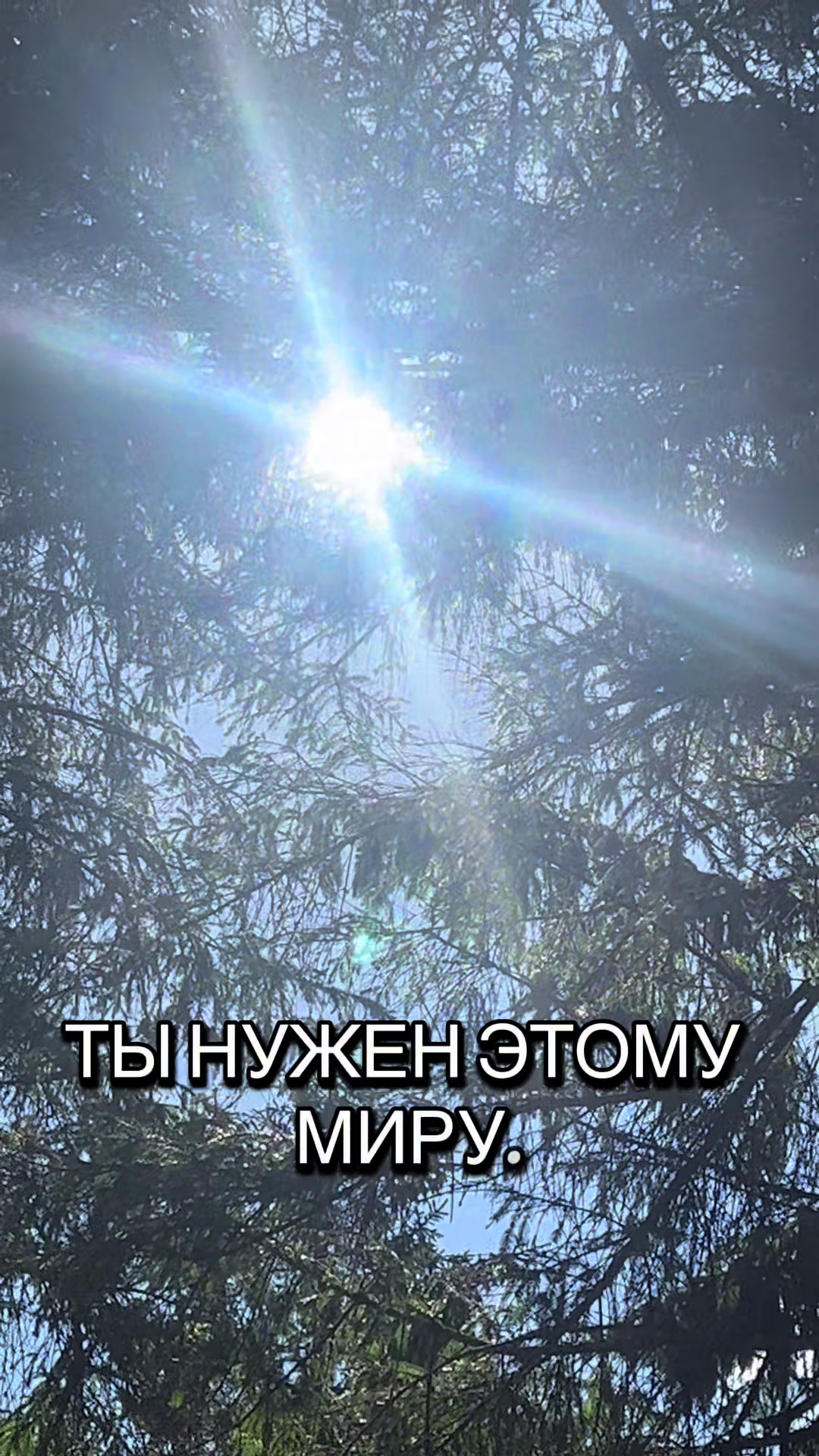 @Александр Белый