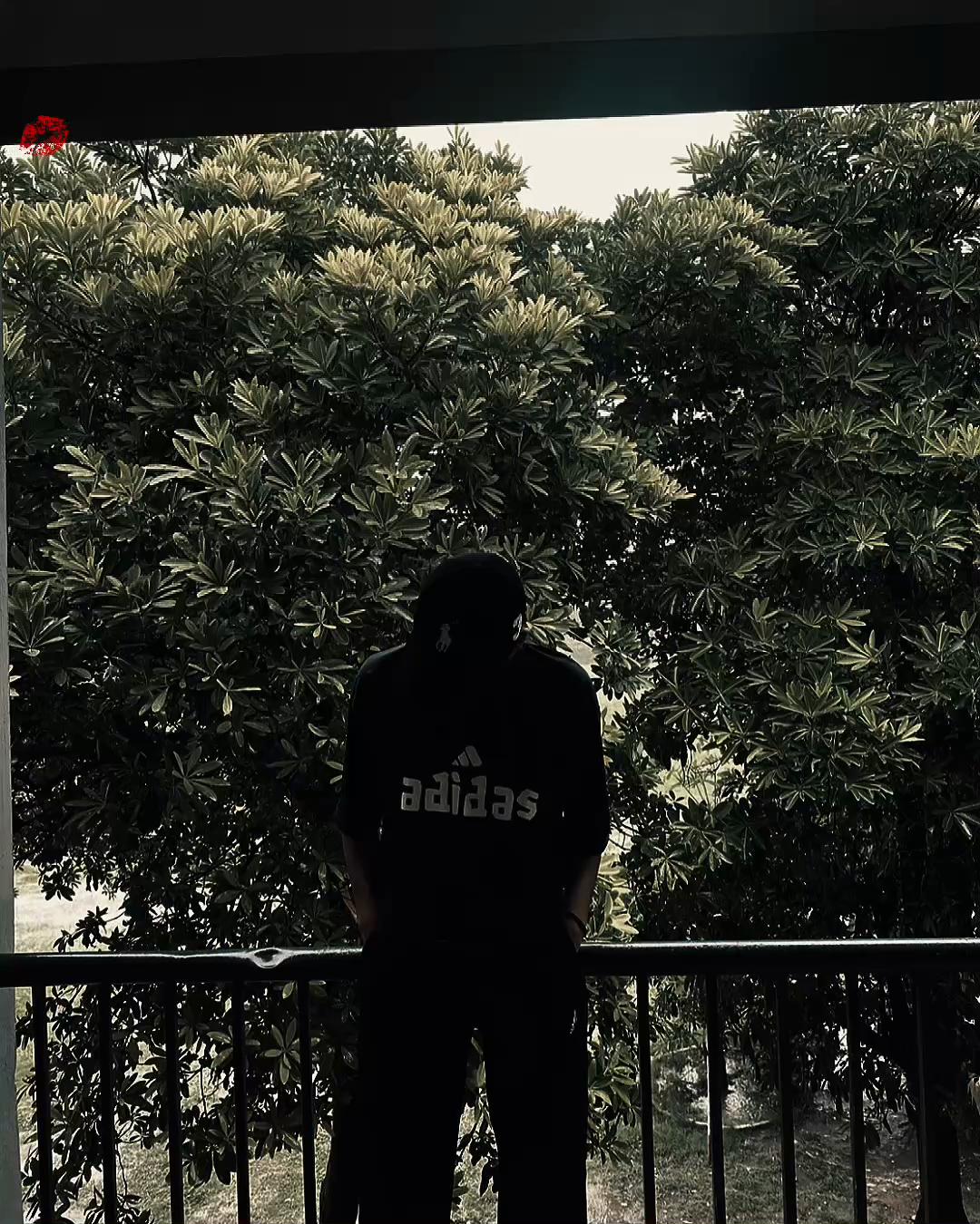 @محترم🥀 🖇️