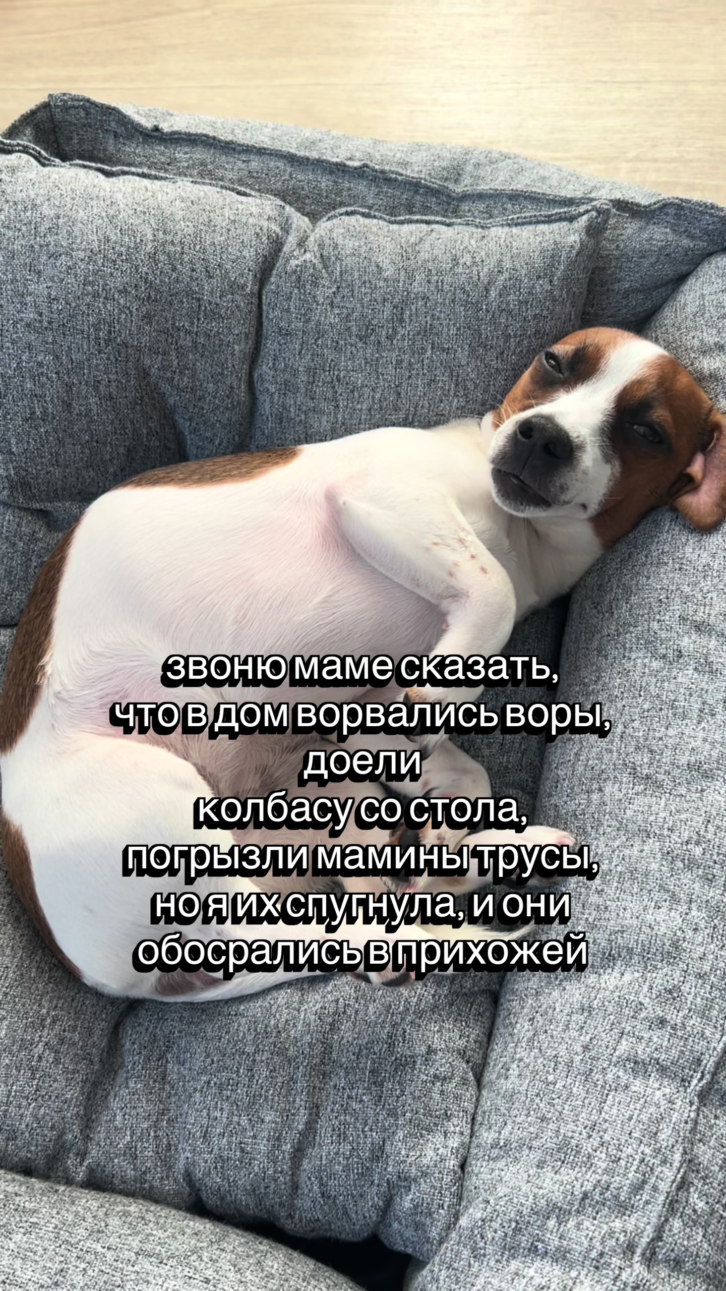 @Ольга психолог и Элли 🐶