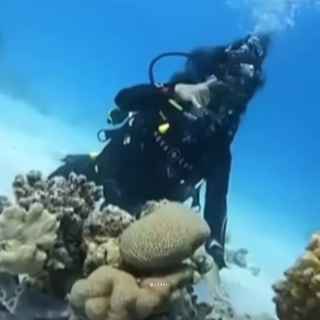 @روري العسيري.