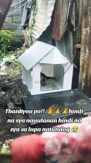 @๐จ๐๐๐๐๐๐ฅ๐ณ๏ธ๐๐ต๐ญ011