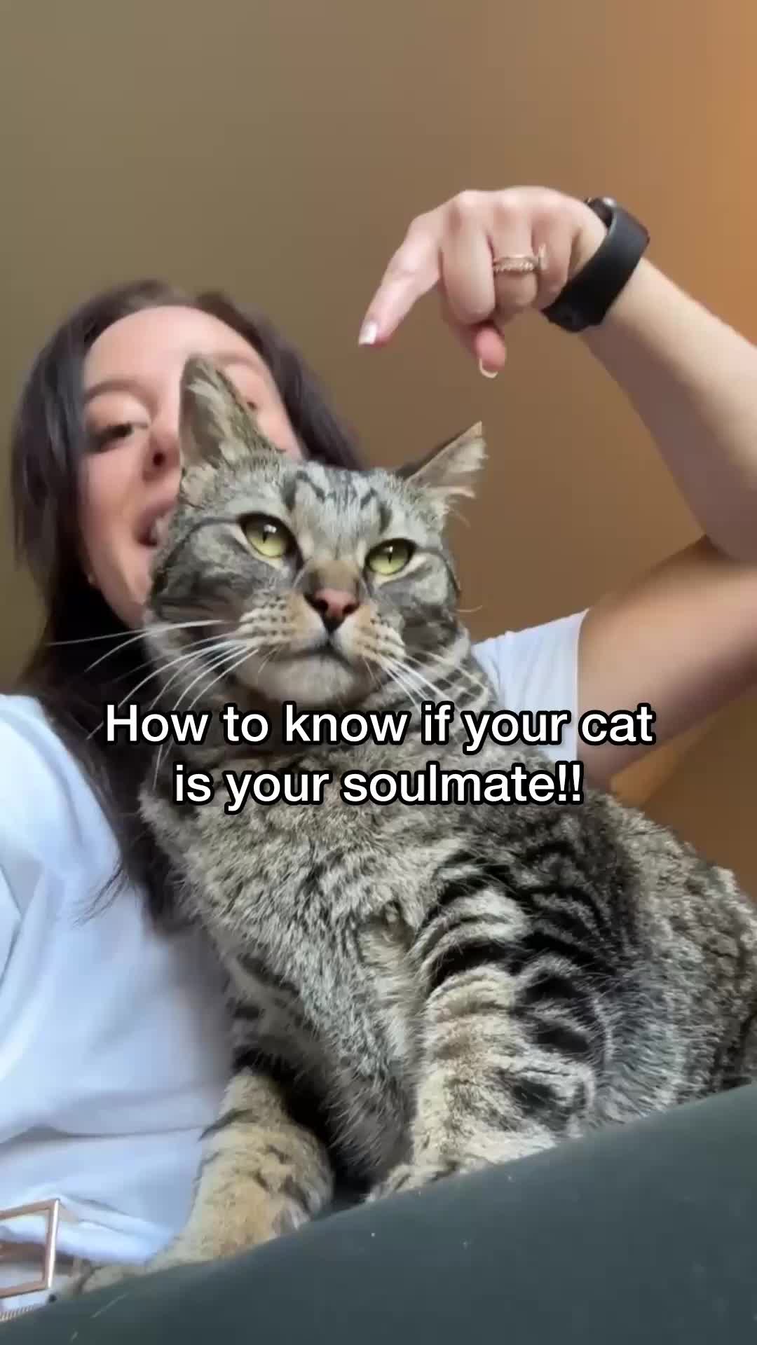@Chip The Manx