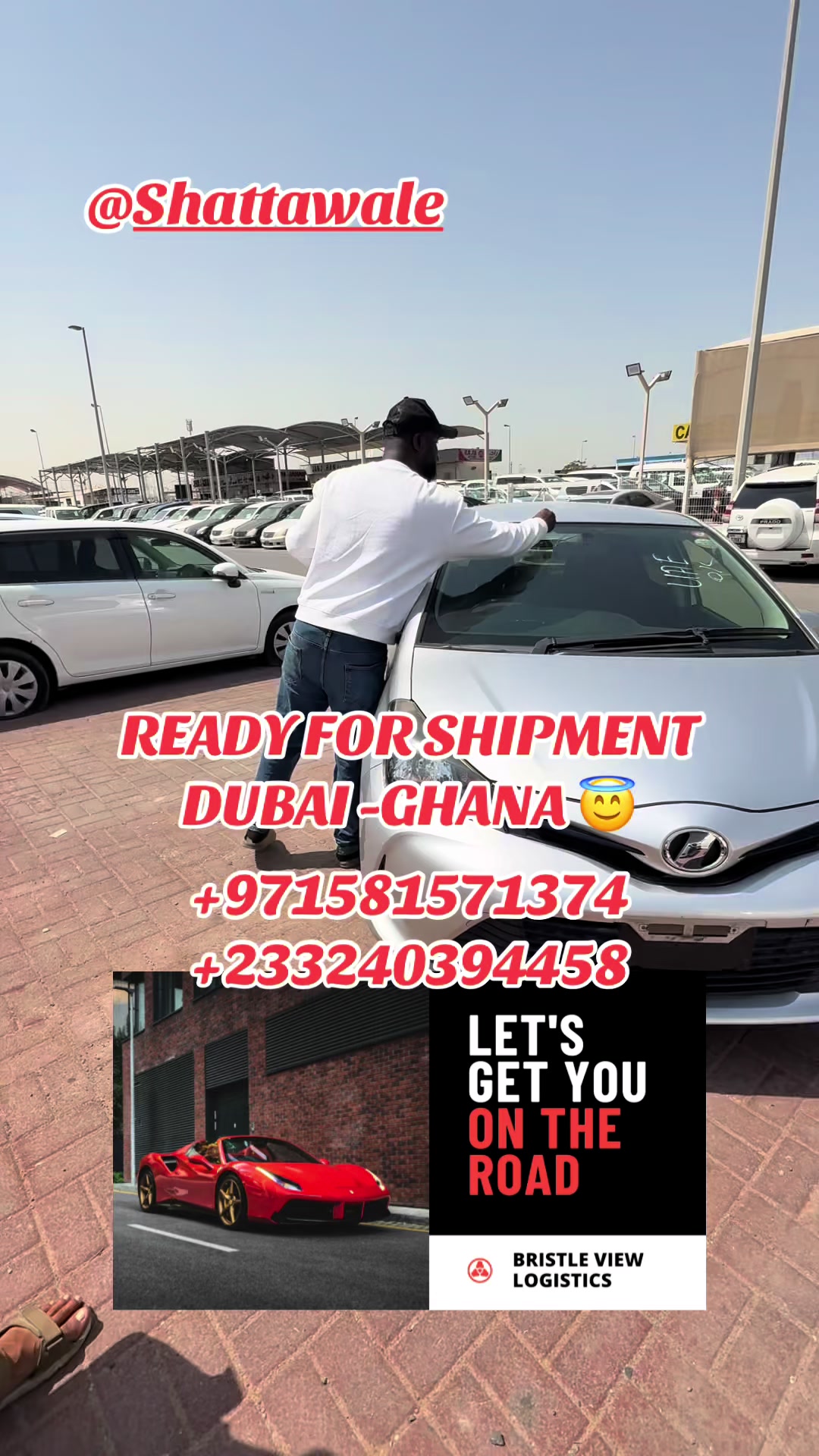 @Bristle View Logistics