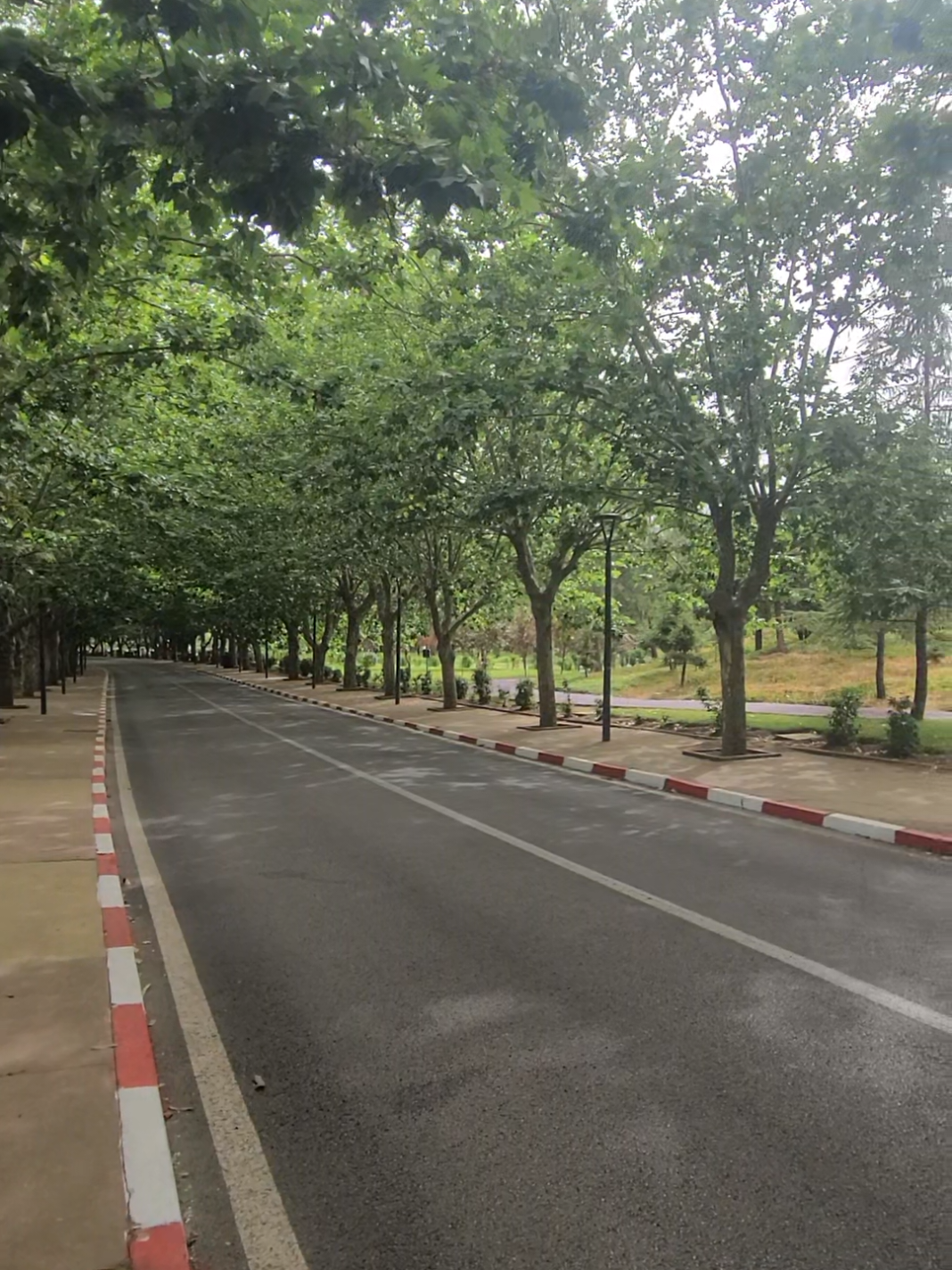 @ifrane city