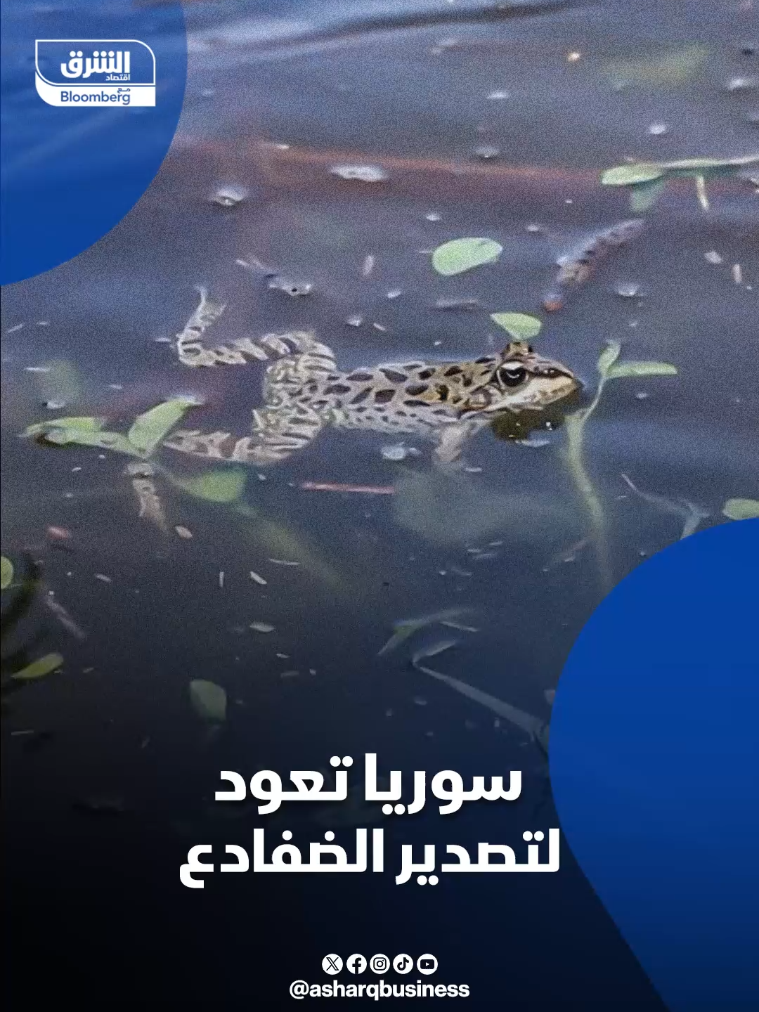 @Asharq Business اقتصاد الشرق