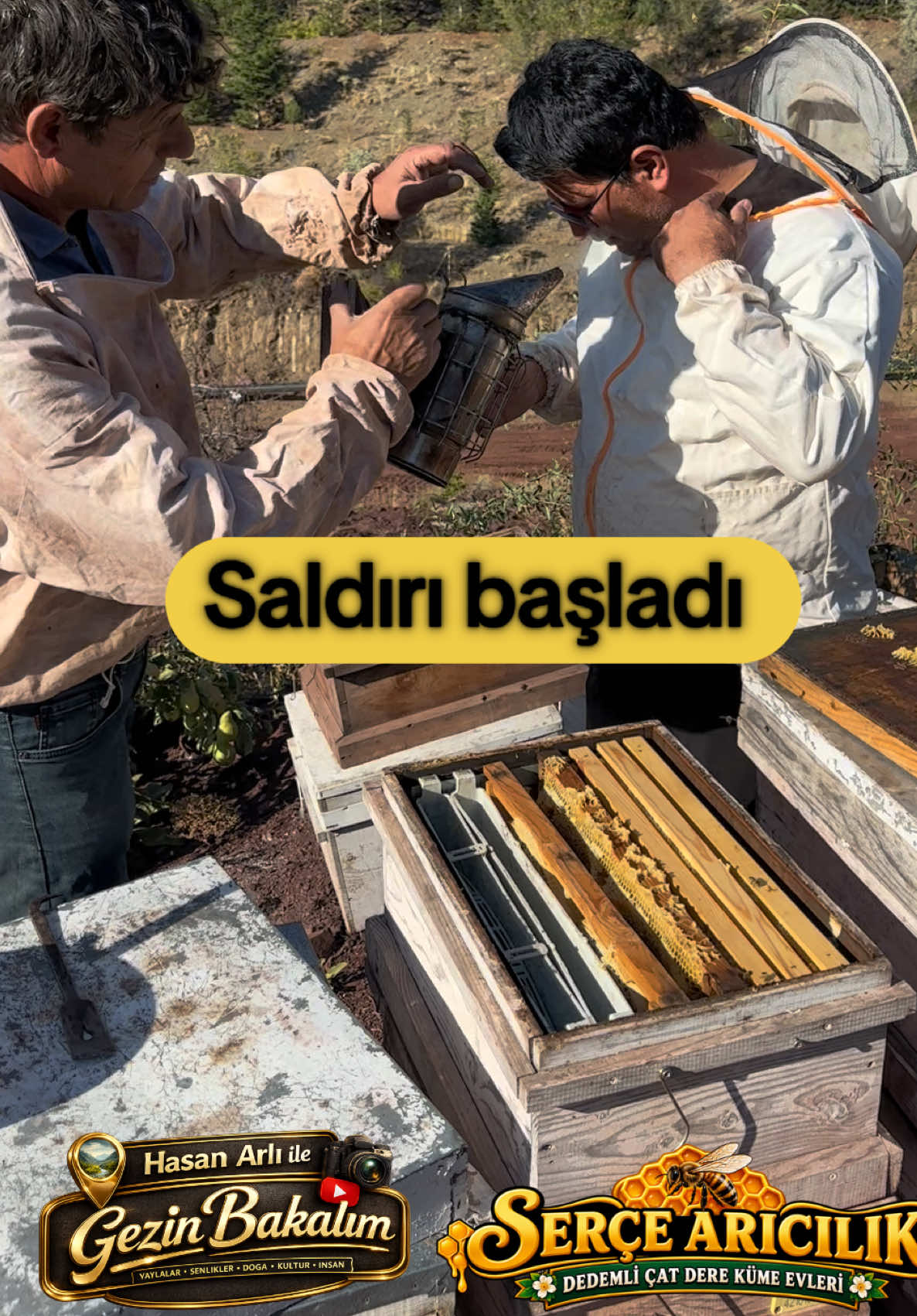 @ᕼᗩᔕᗩᑎ ᗩᖇᒪᎥ Ꭵ̇ᒪᗴ Ǥᗴ乙Ꭵᑎ ᗷᗩᛕᗩᒪıᗰ