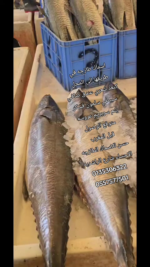 @لاين بحري