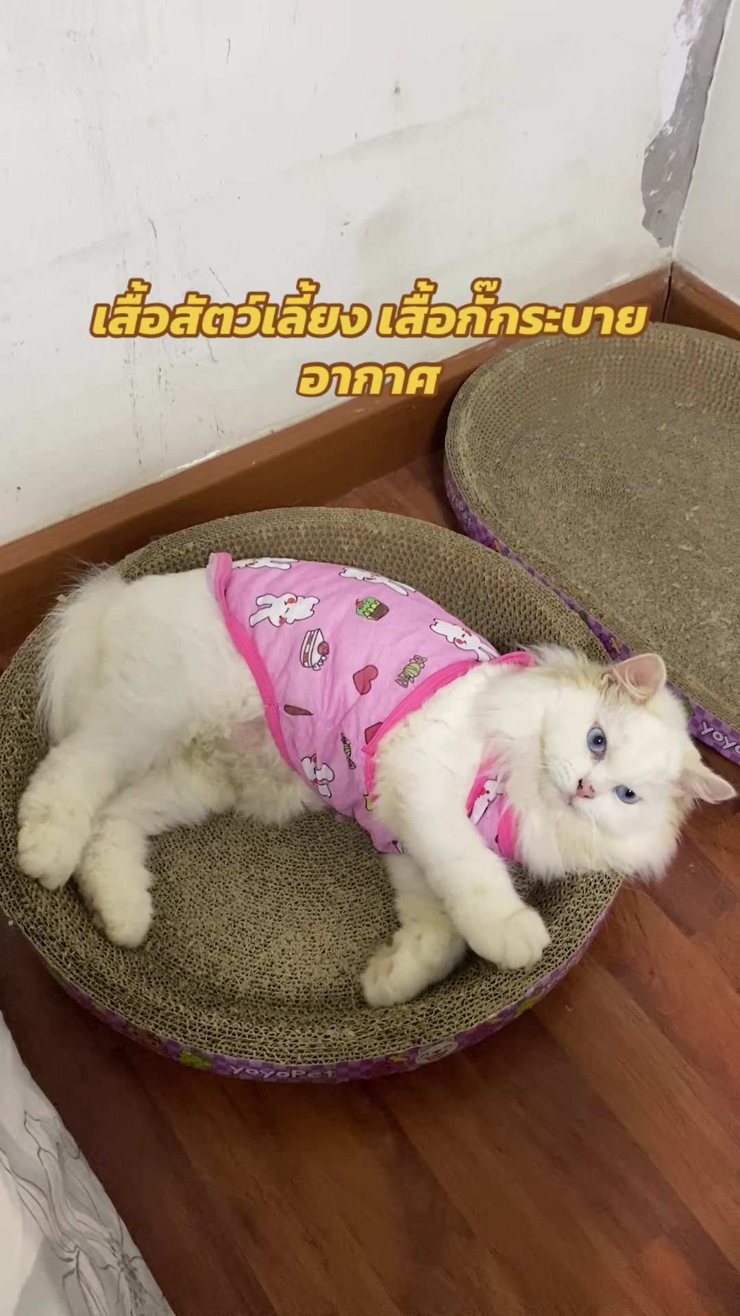 @luxsiriwan21