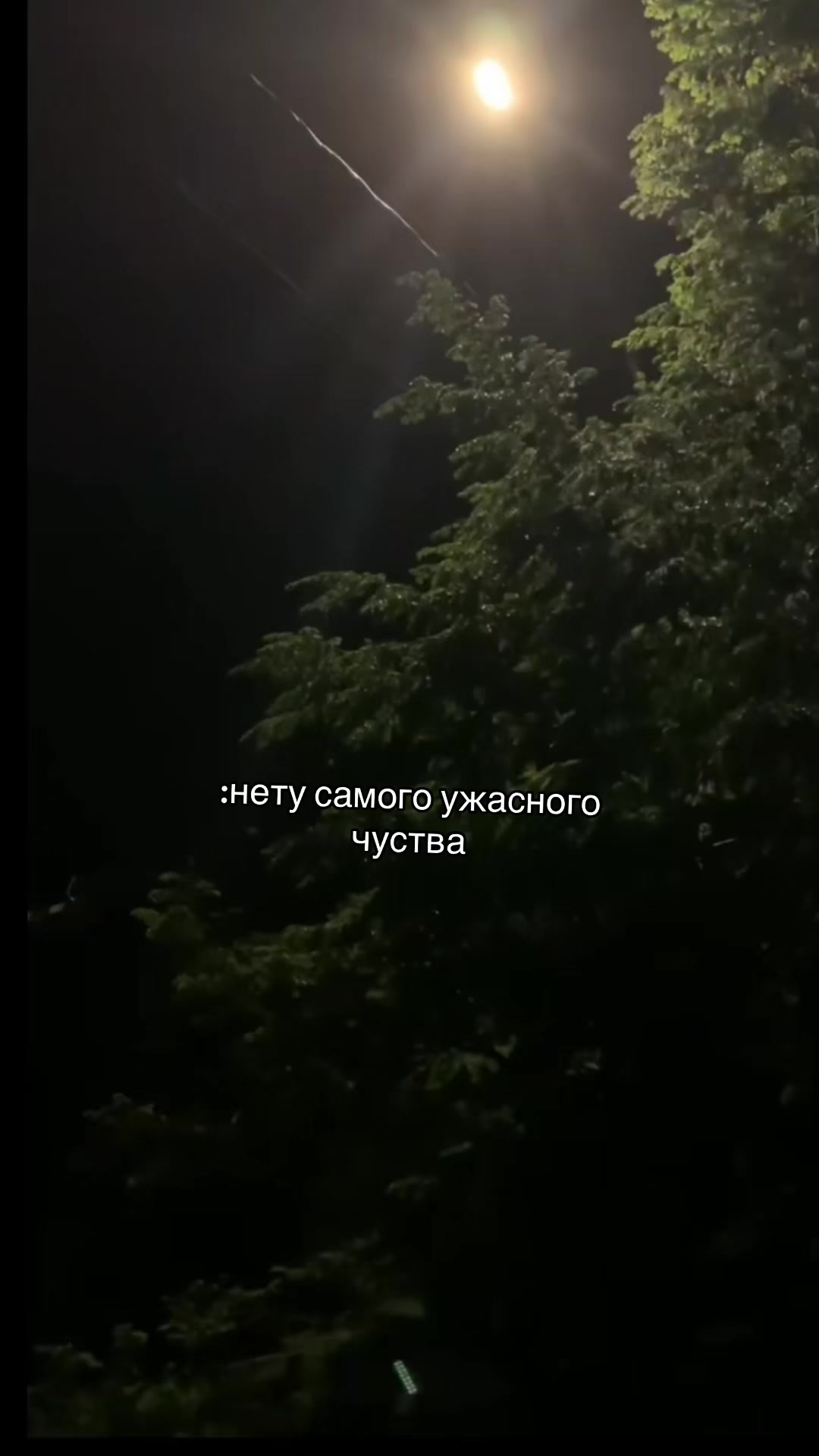 @Дашулька🪽