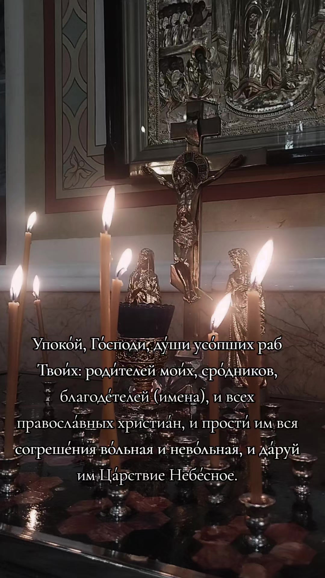 @DASHенция