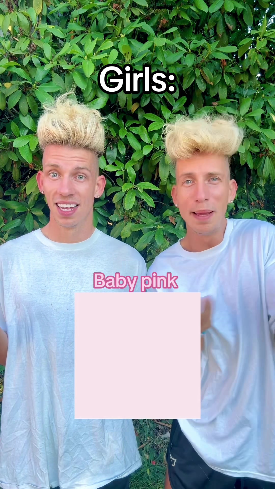 @vorostwins