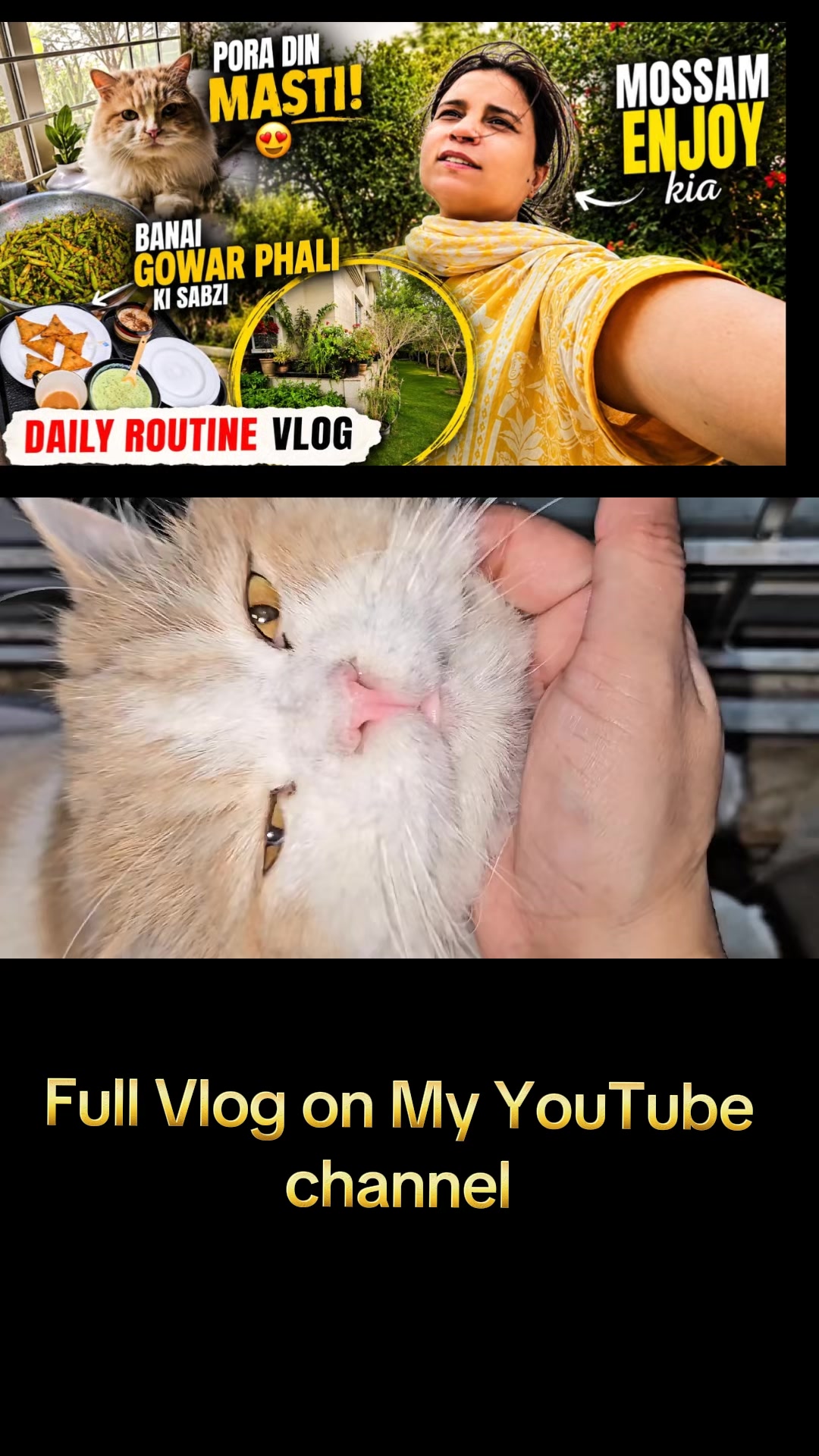 @๐๐ข๐ฒ๐ ๐๐๐ฌ๐ข ๐ซ