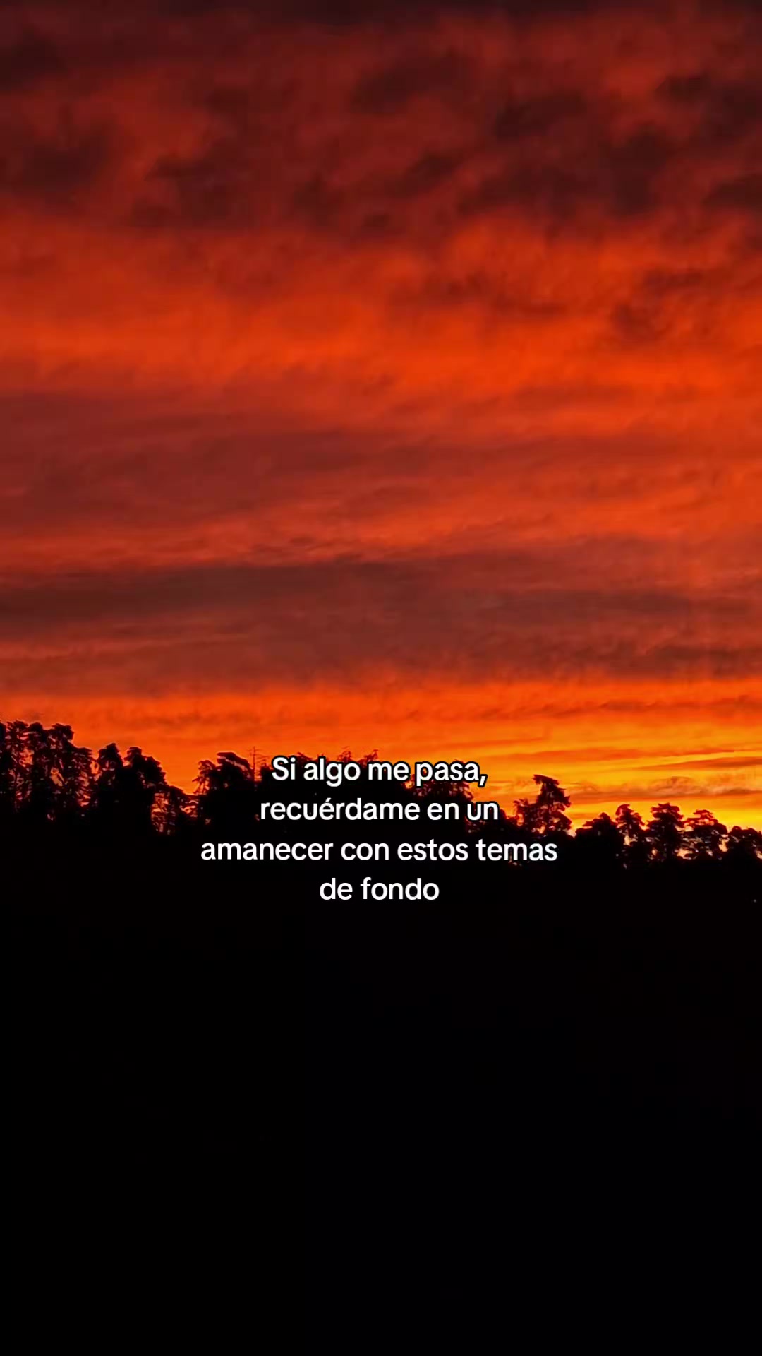 @Kevin Roa Betancourt