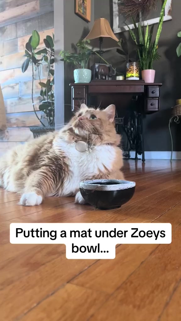 @Zoey