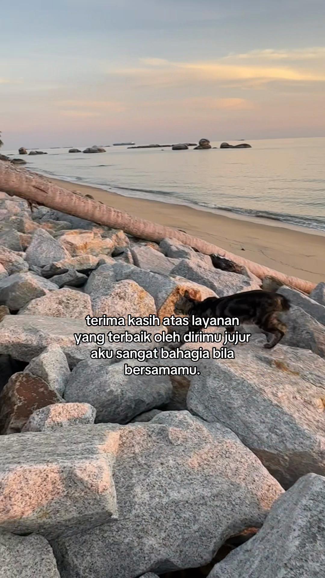 @دانش🦘