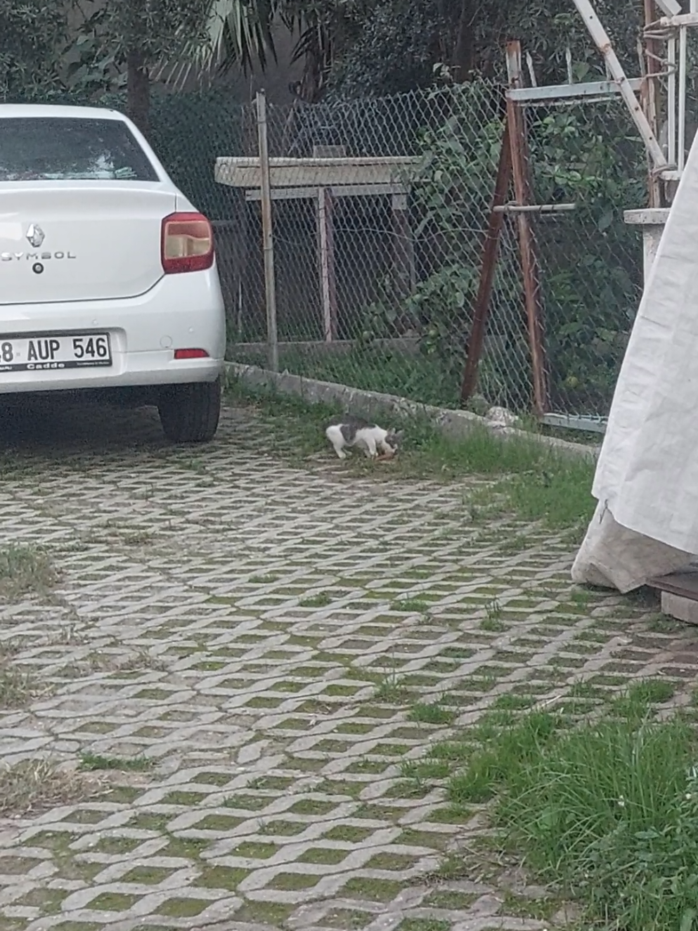 @DENİZGOKAY