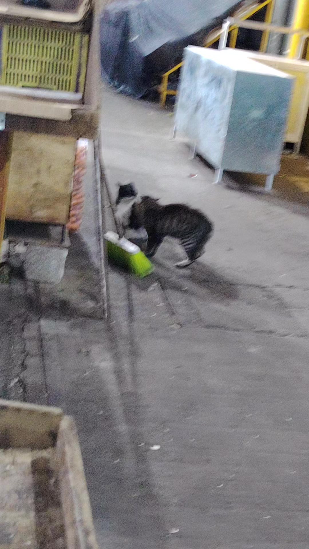 @Agus Méndez 🇲🇽😉