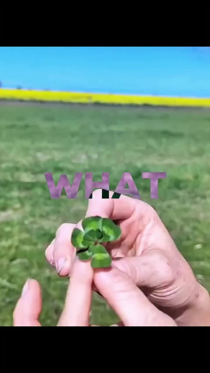 @G i y o m a r u'