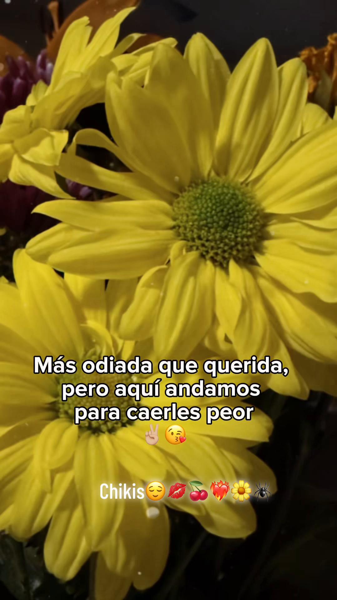 @👑🄲𝔥𝔦k̊̈𝔦ֆ🕷️🪼💋❤️🔥🍒