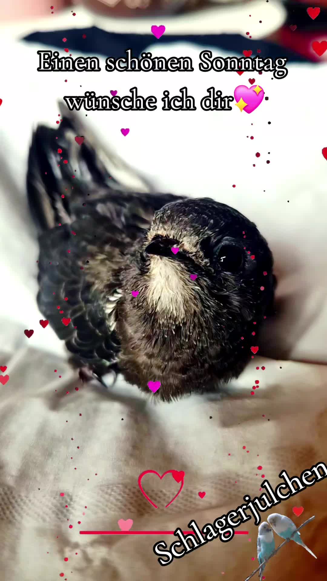 @โ๏ธ๏ธ๏ธ๐
๏ธ๐
ค๏ธ๐
๏ธ๐
๏ธ๐
๏ธ๐
๏ธ๐
๏ธโ๏ธ๏ธ๏ธ