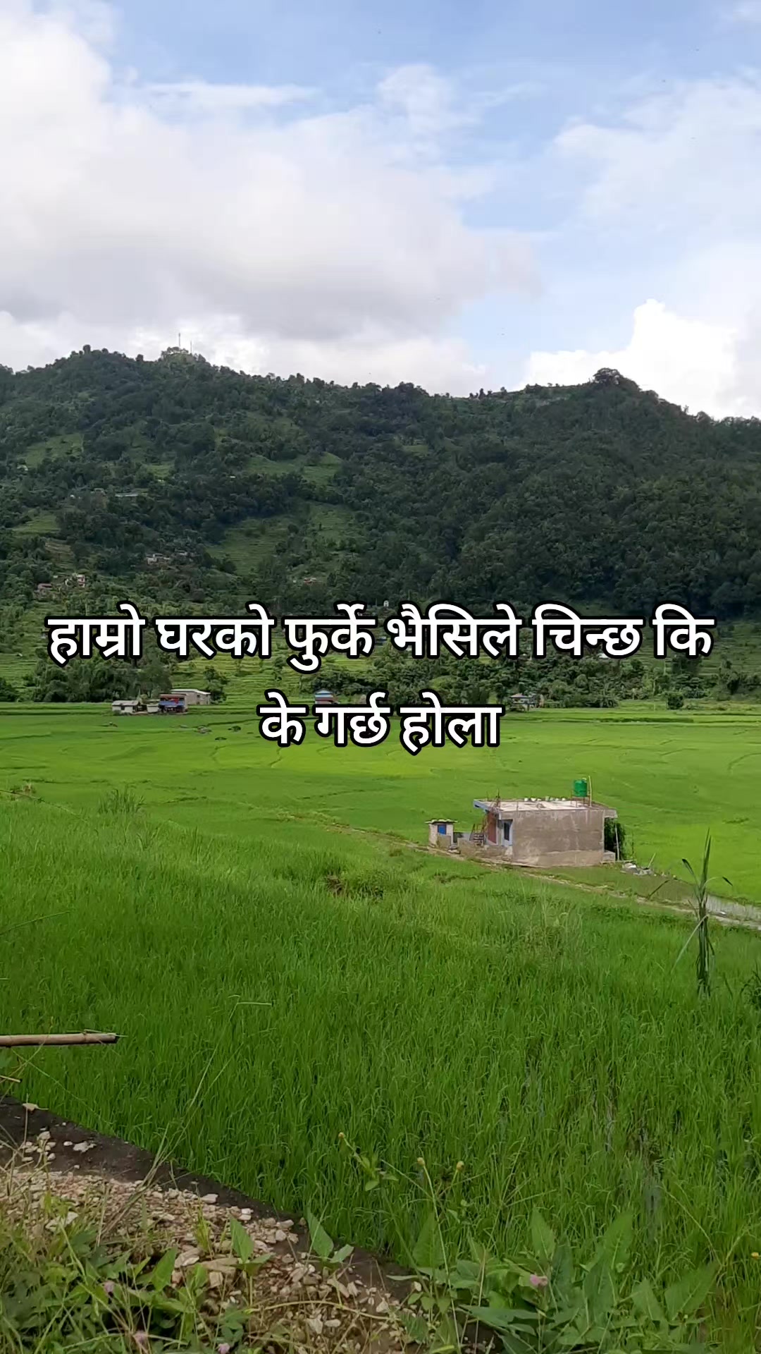 @🤝सुजाता सापकोटा पौडेल 🤝
