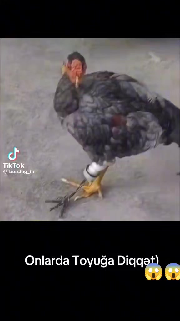 @Qeys_059