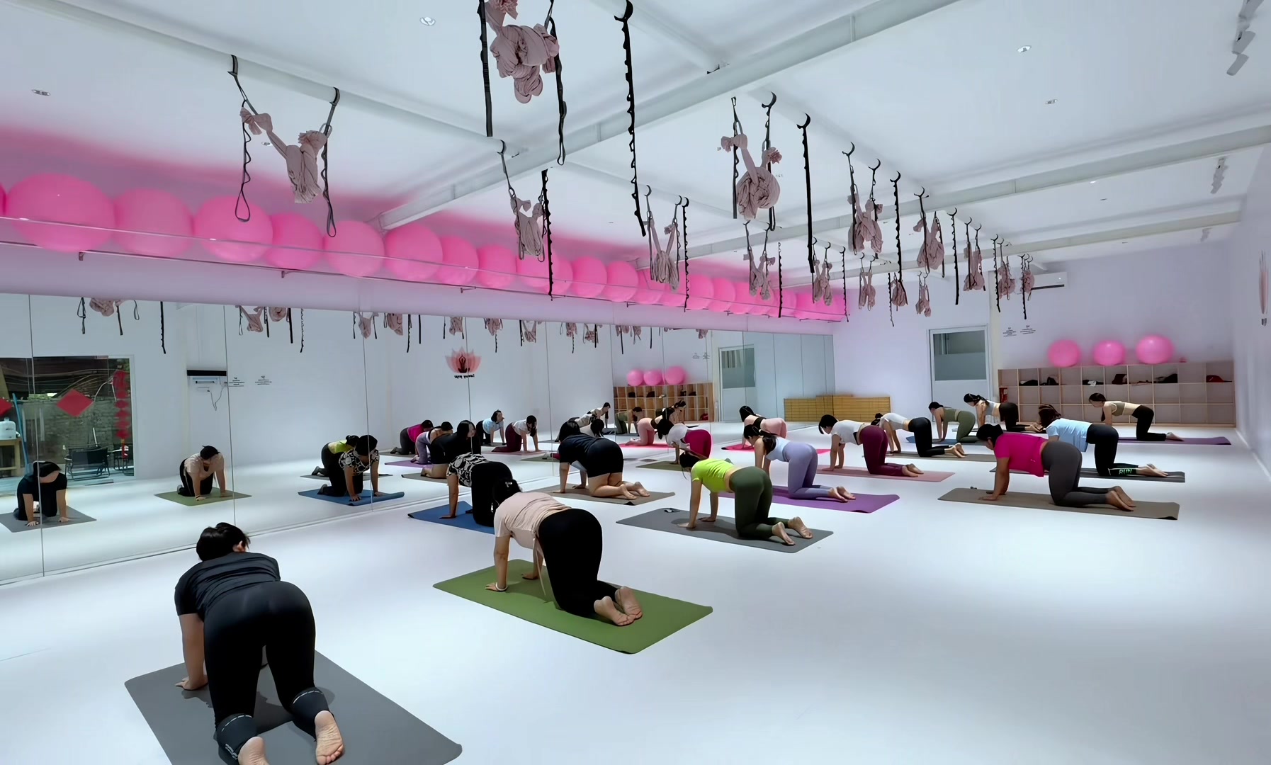 @SUNNY YOGA @MDY