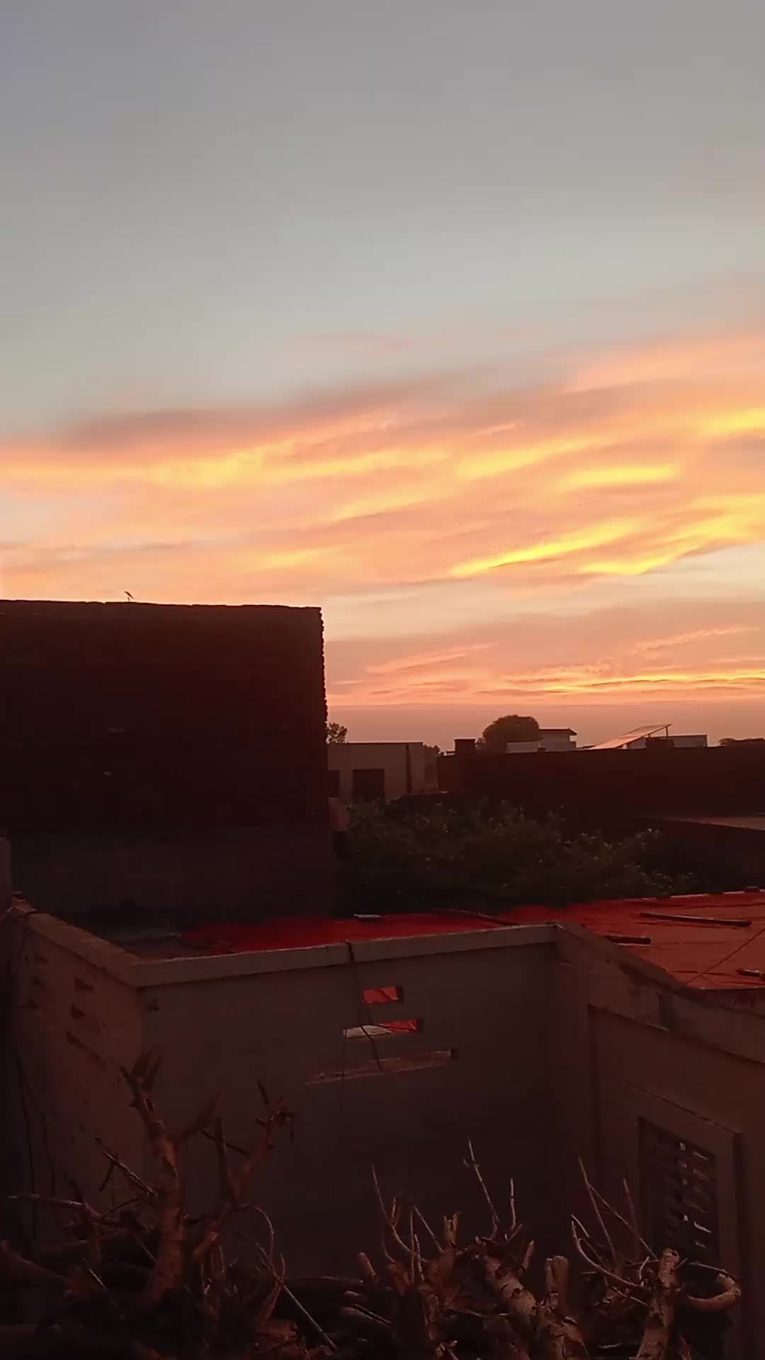 @khuzaima jan