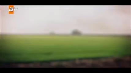 @🕊NORA🕊