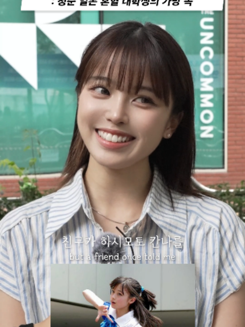 @하우머치 코리아 (HOWMUCH KOREA)