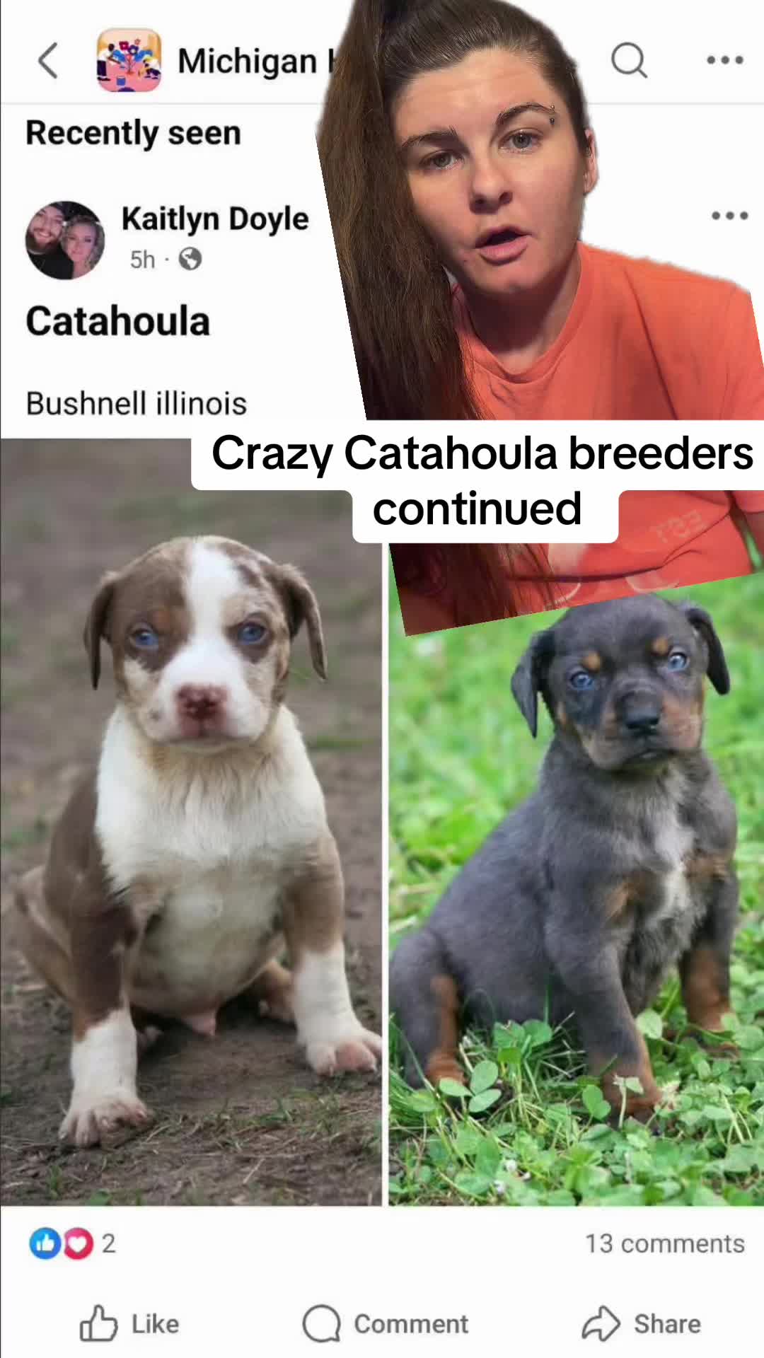 @Jess Shark🐾DOG PACK🐾