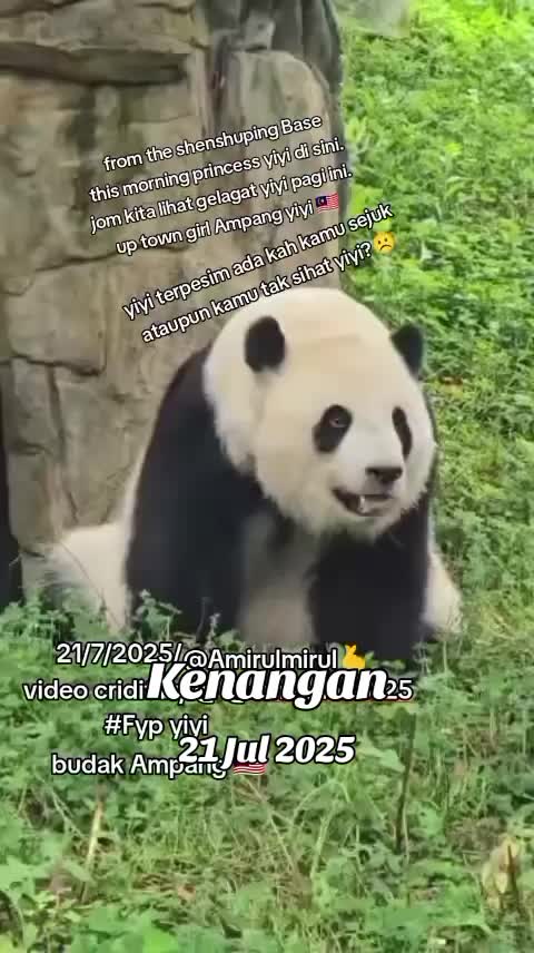@AmirulMirul3