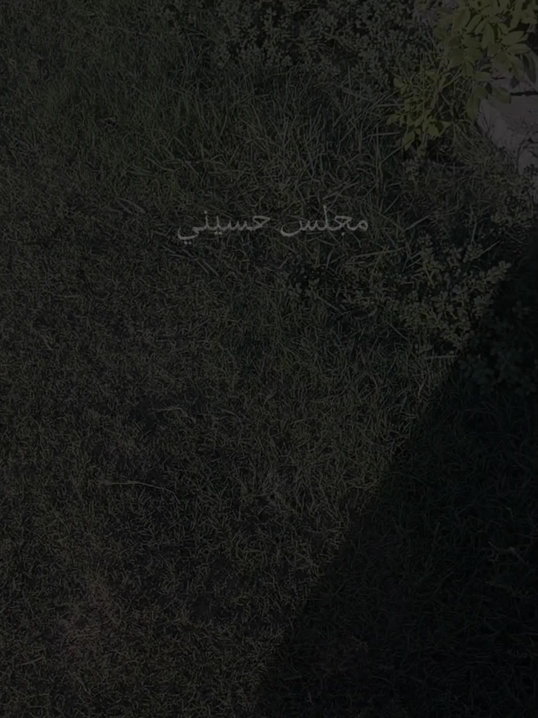 @Noor💜🌚