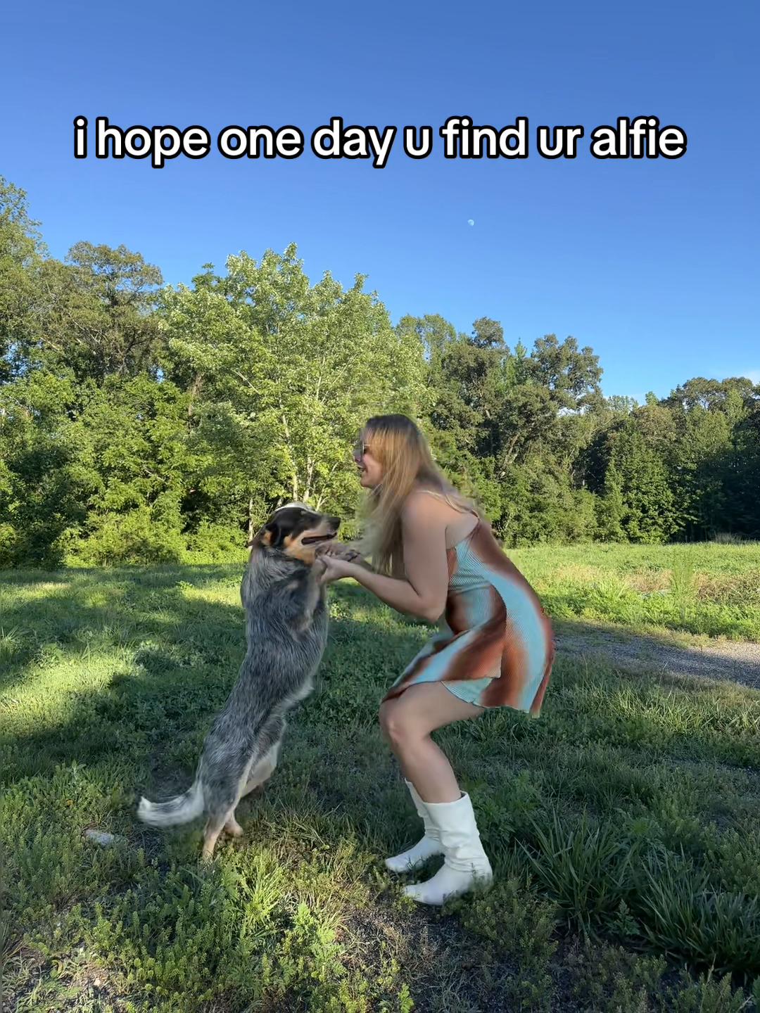 @farmerandtheharpiist