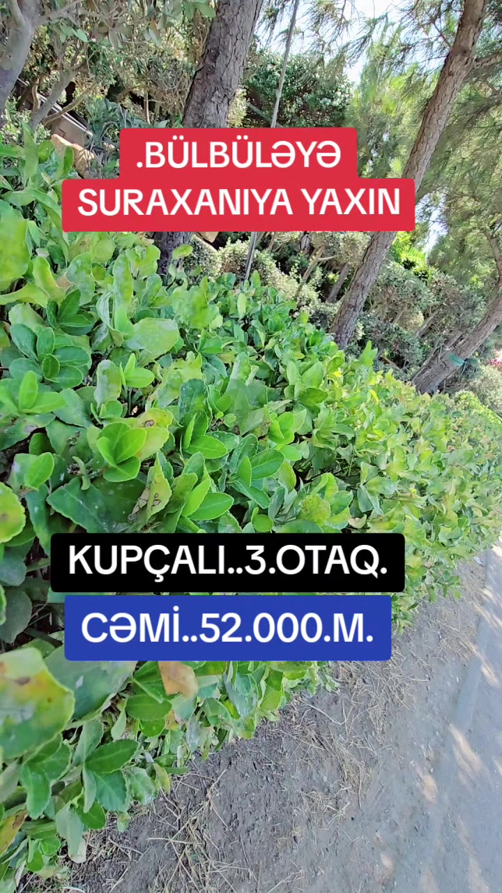 @evlerinsatışı krditlə yekemlak