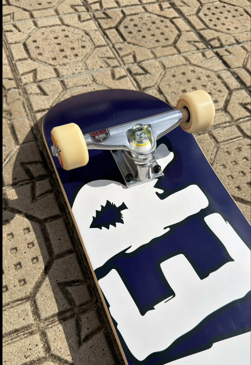 @Ever Skate Shop