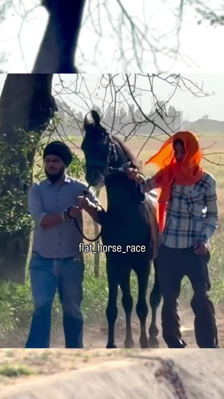 @🏇 MARWARI HORSE RACING 🏇