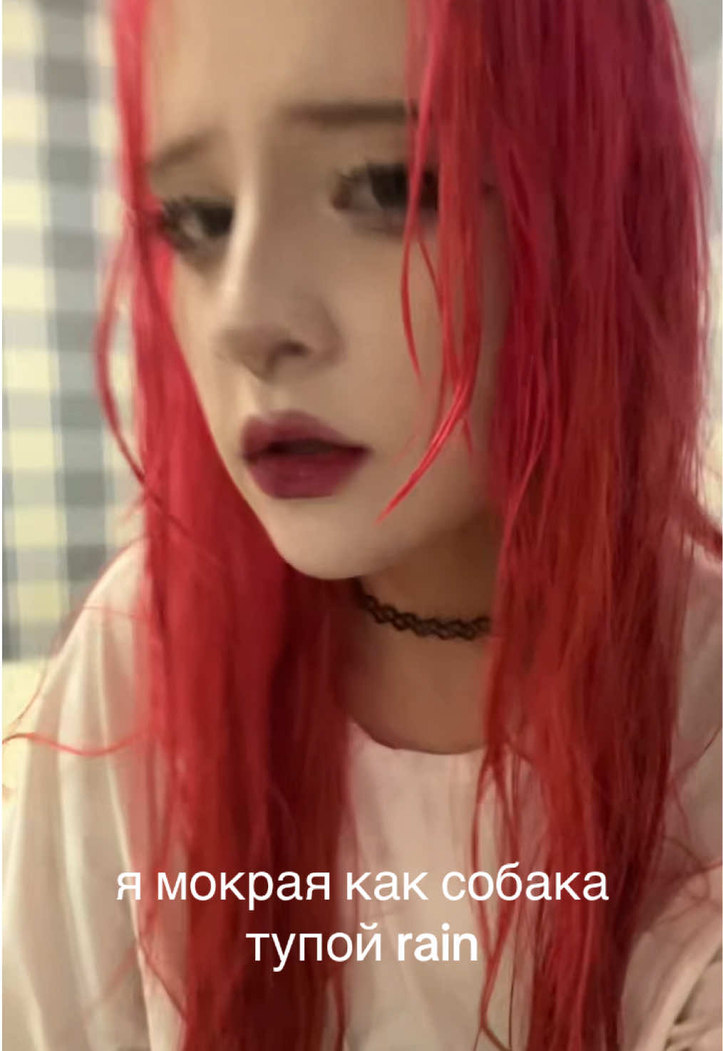 @лена котейкина